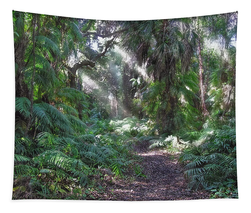 Boyd Hill Nature Preserve Tapestry featuring the photograph Mystic Forest by Hanny Heim