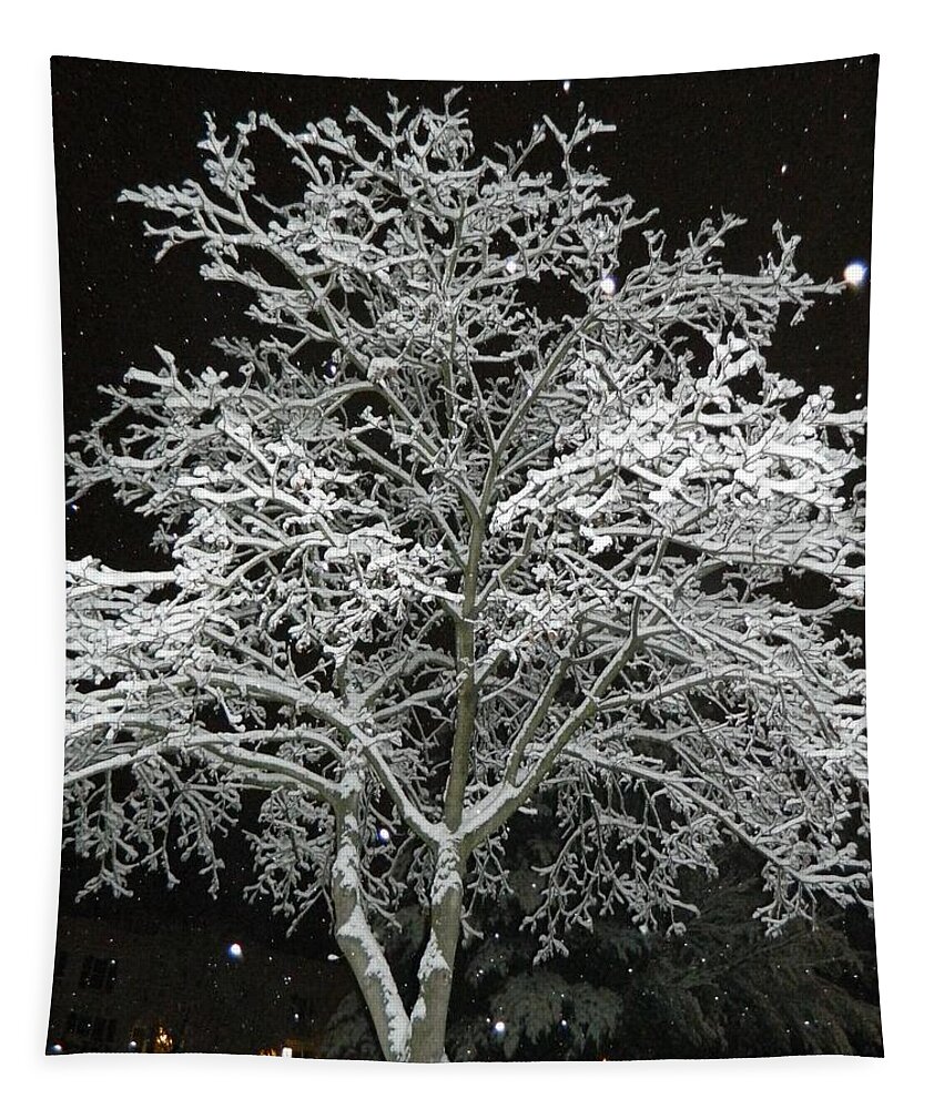 Mystical Winter Beauty Tapestry featuring the photograph Mystical Winter Beauty by Emmy Vickers