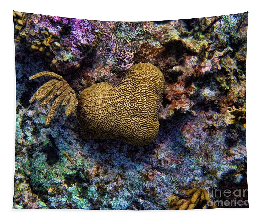 Coral Tapestry featuring the photograph Natural Heart by Peggy Hughes