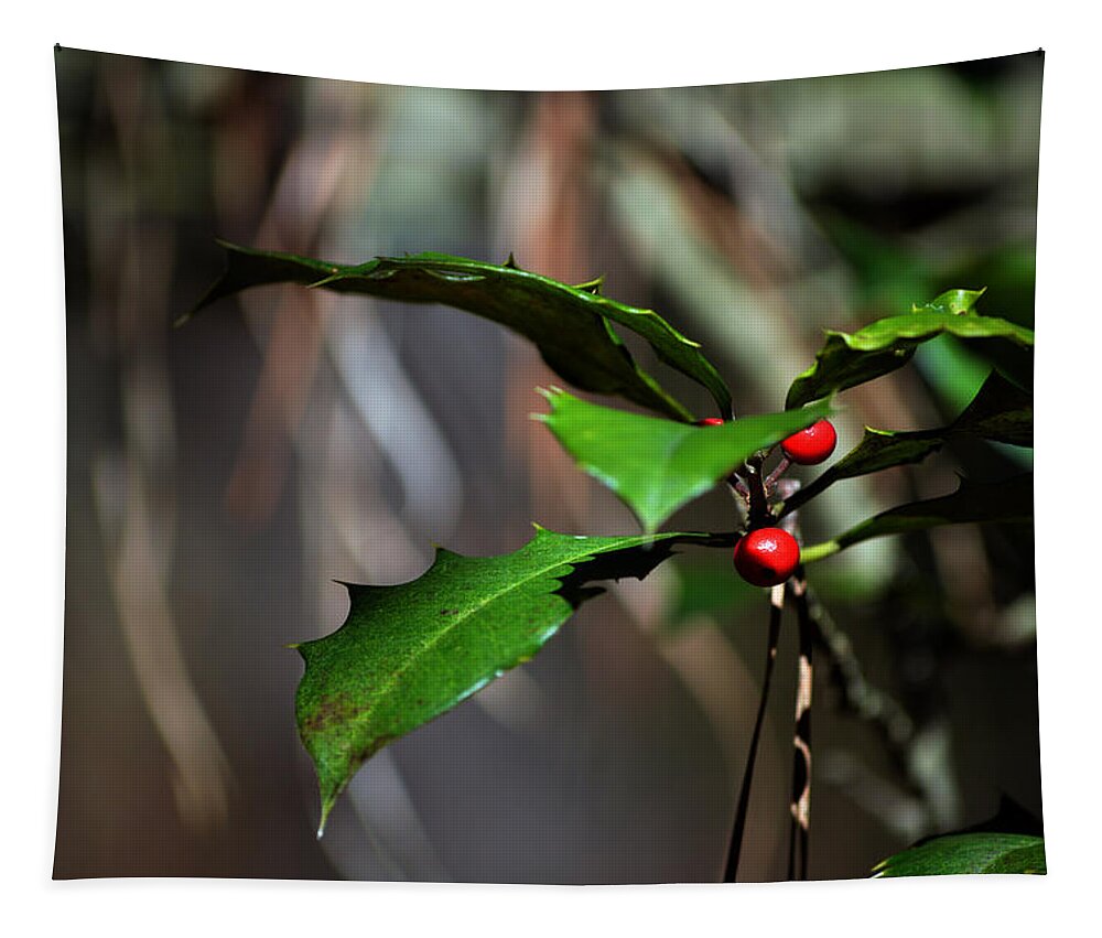 Holly In The Wild Tapestry featuring the photograph Natural Holly Decor by Bill Swartwout