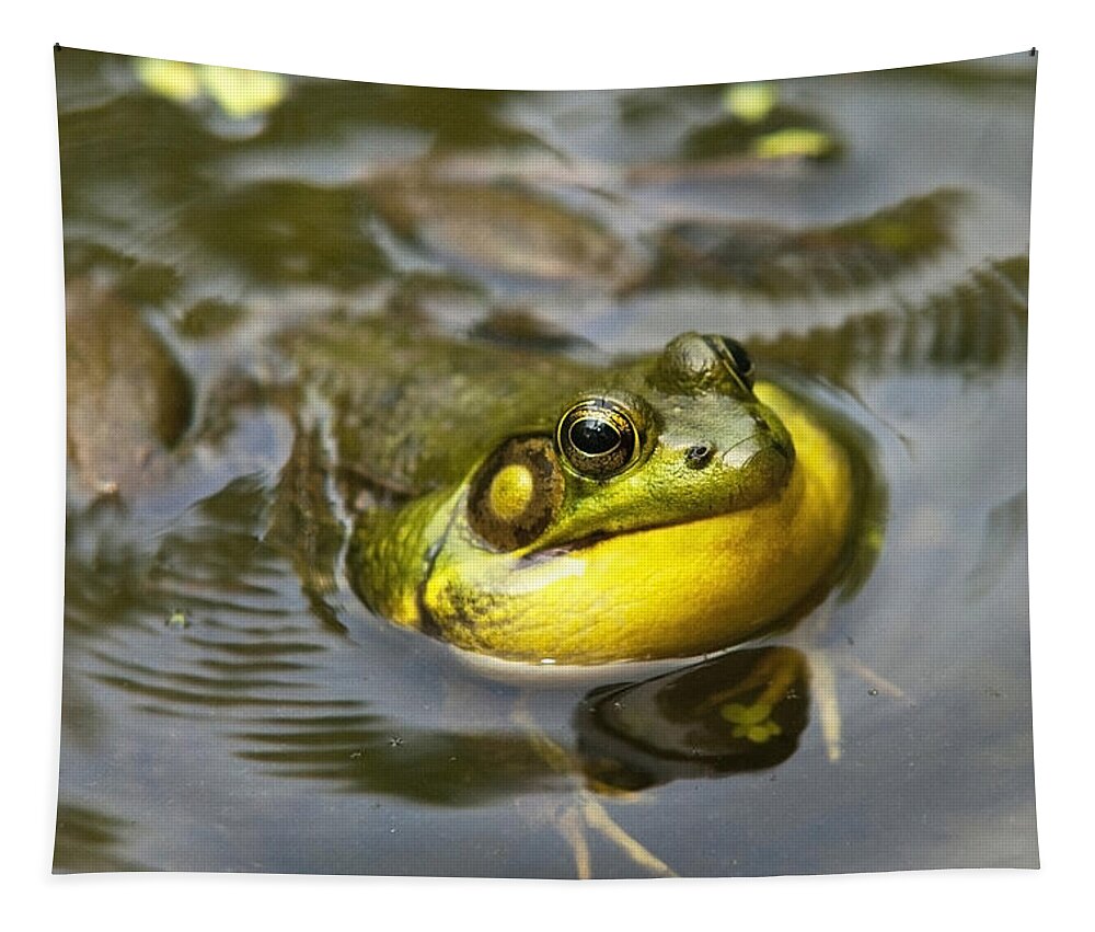 Frog Tapestry featuring the photograph Nature Calling by Christina Rollo