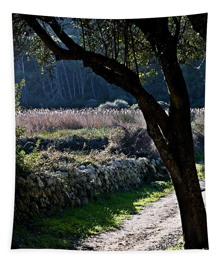 Agriculture Tapestry featuring the photograph Nature in contrast by Pedro Cardona Llambias