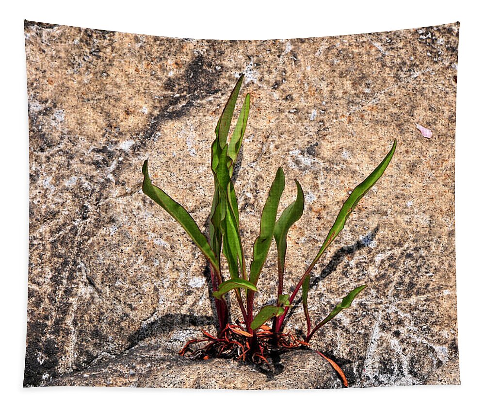 Rock Tapestry featuring the photograph Nature's Beauty by Mike Martin