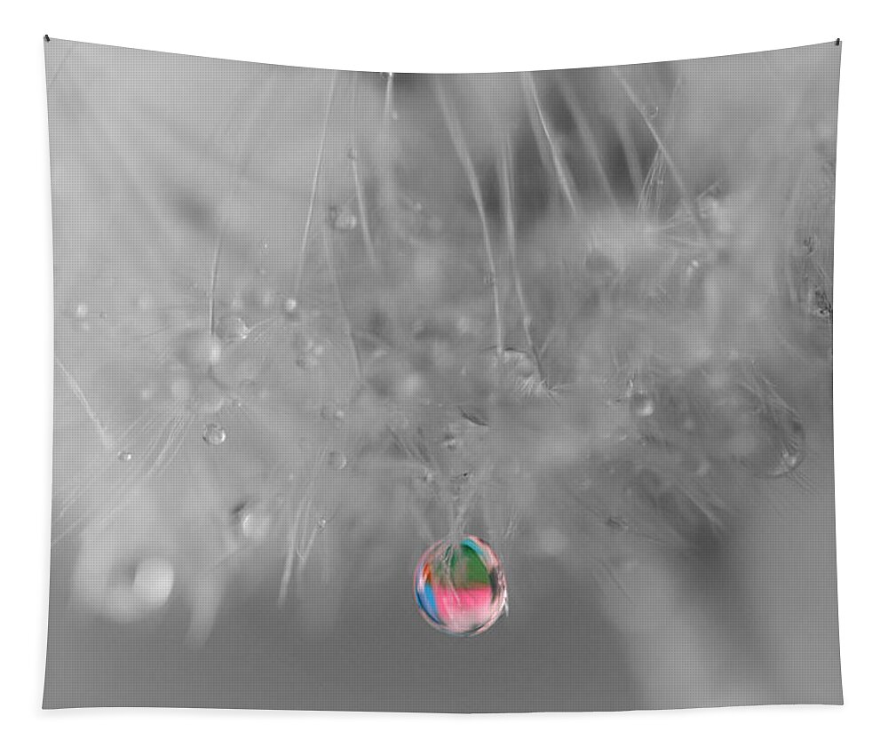 Dew Drop Tapestry featuring the photograph Nature's Crystal Ball by Marianna Mills