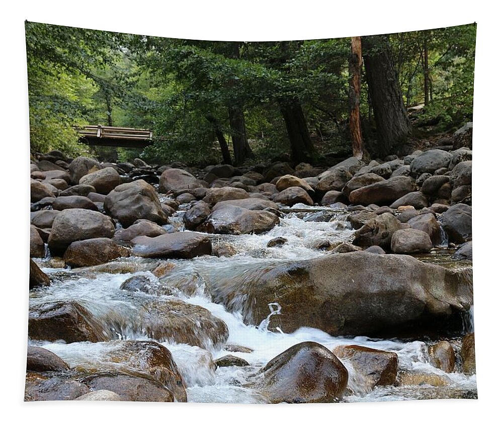 Rocky Tapestry featuring the photograph Nature's Flow by Christy Pooschke