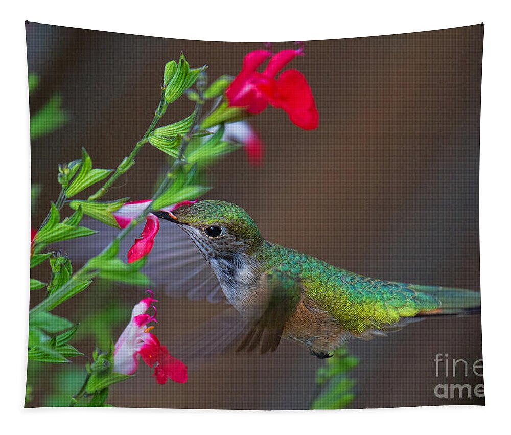Humming Bird Tapestry featuring the photograph Nature's Hovercraft by Jim Garrison