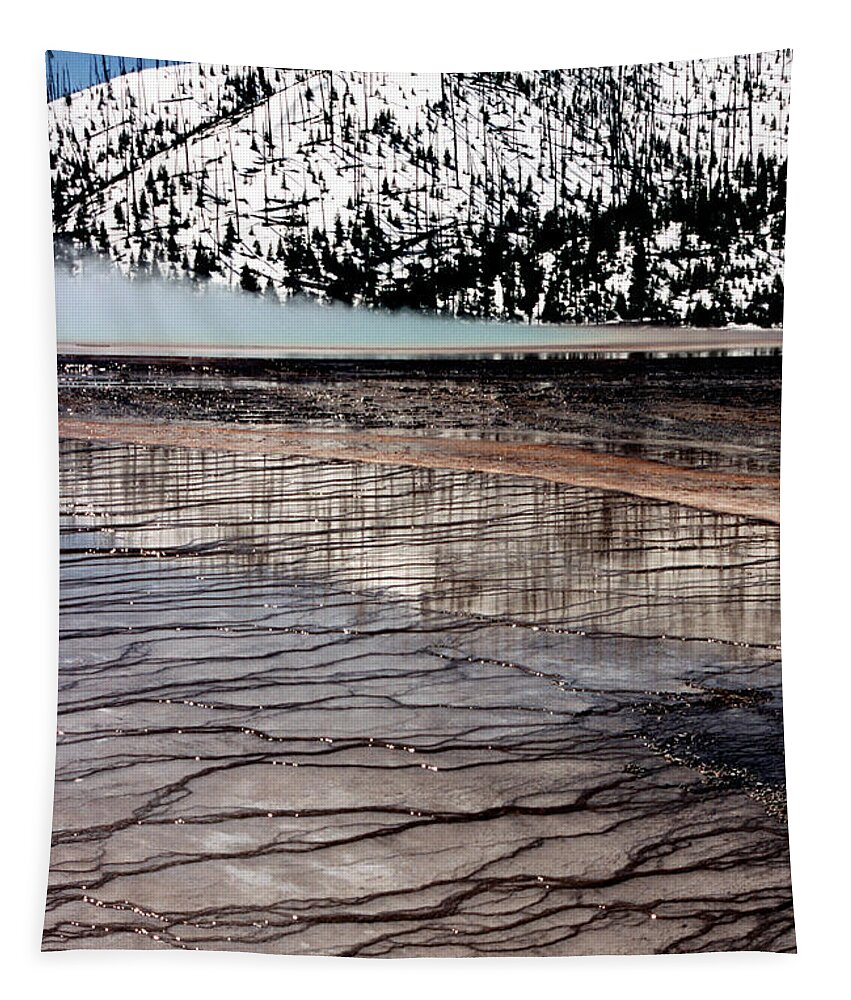Yellowstone National Park Tapestry featuring the photograph Nature's Mosaic II by Sharon Elliott