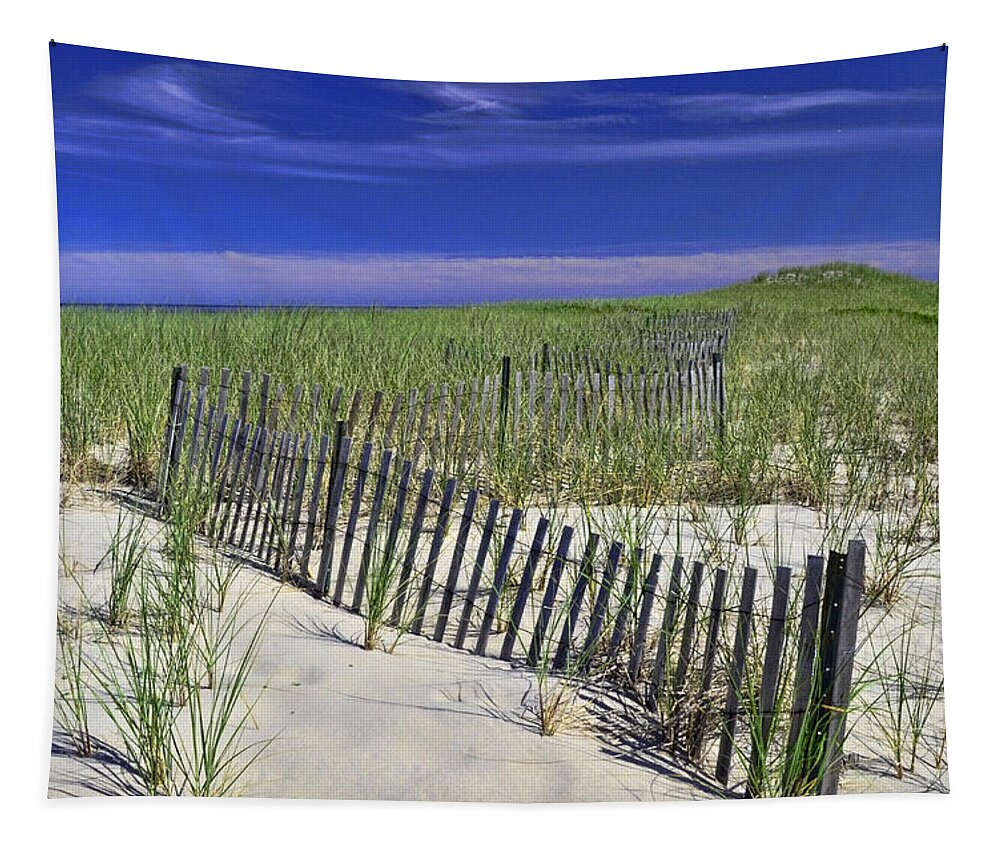 Nauset Beach Dunes Tapestry featuring the photograph Nauset Beach Dunes by Allen Beatty