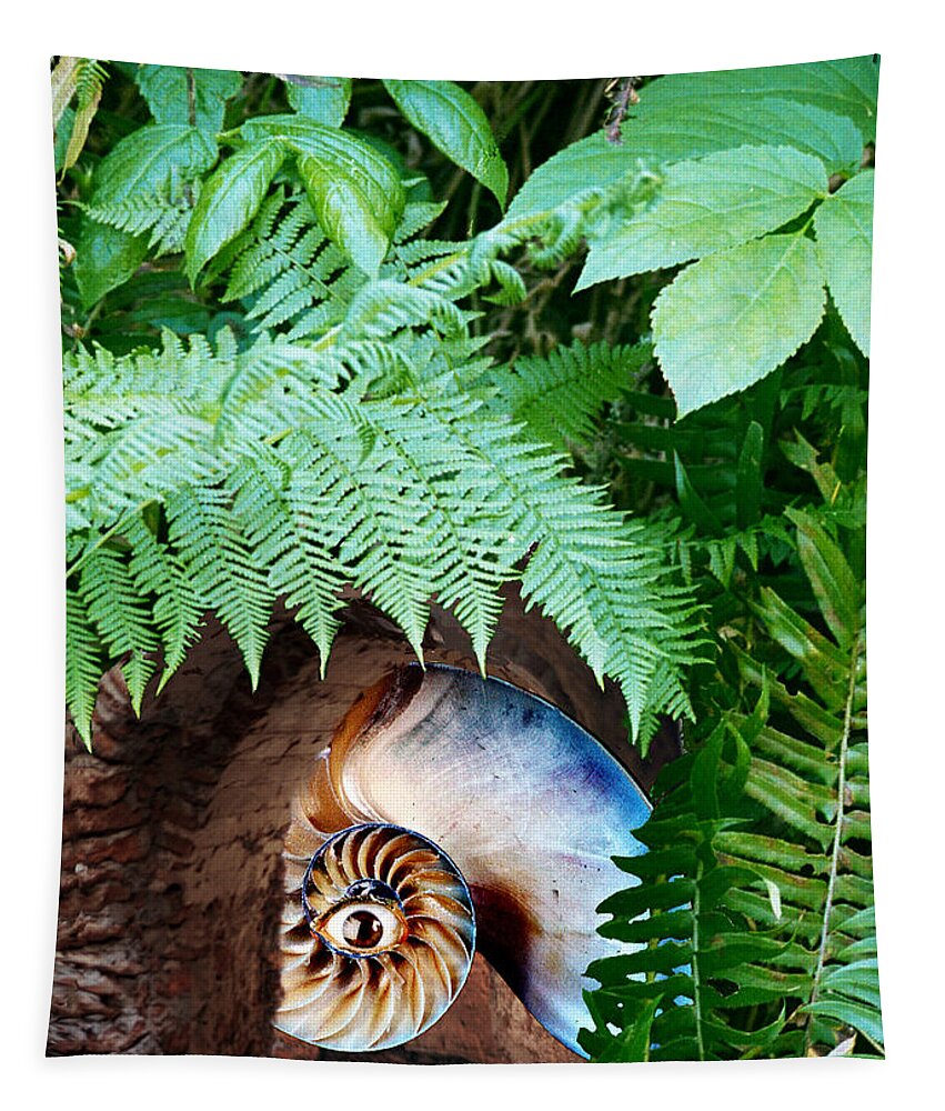 Nautilus Tapestry featuring the digital art Nautilus Landscape by Lisa Yount
