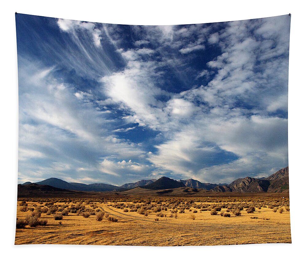Mountains Tapestry featuring the photograph Near the Intersection of God and the Eastern Sierras by Joe Schofield
