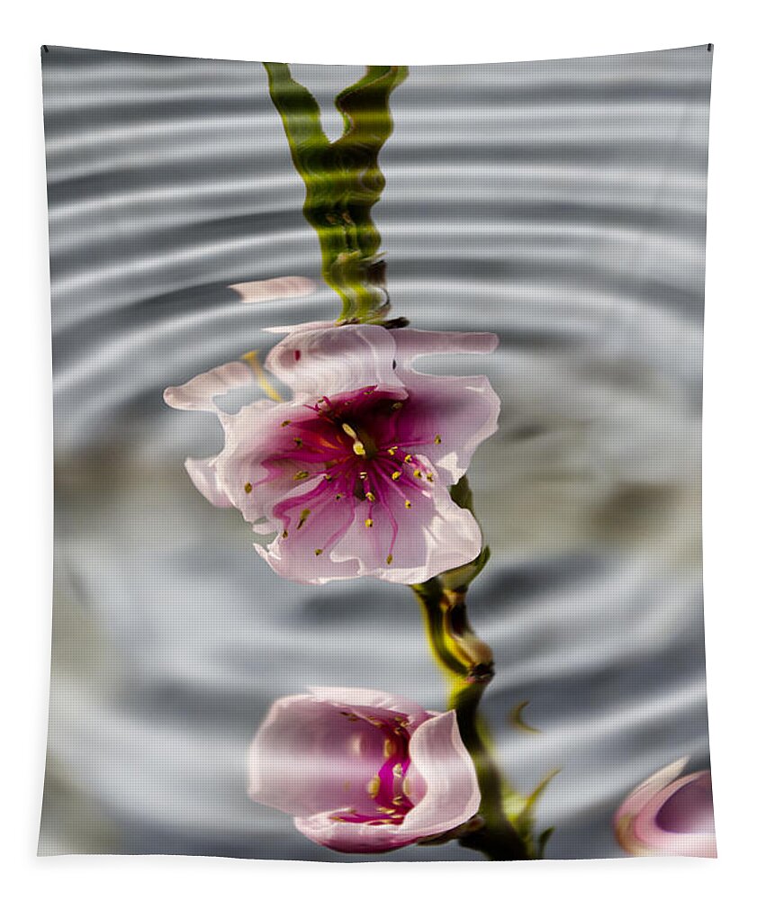 Still Life Tapestry featuring the photograph Nectarine ripples by Steev Stamford