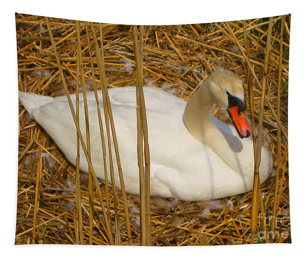 Swan Tapestry featuring the photograph Nesting Swan by Judy Palkimas