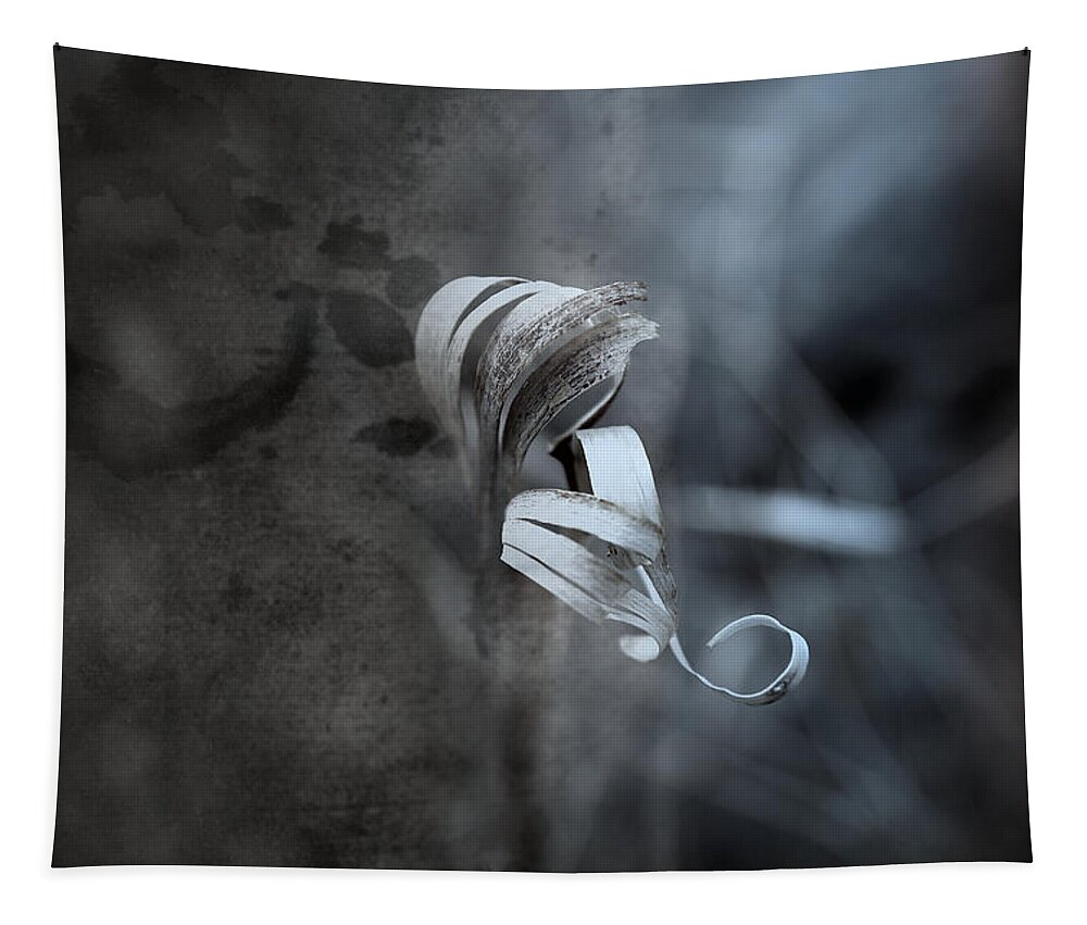 Curl Tapestry featuring the photograph Neutral Order by Mark Ross