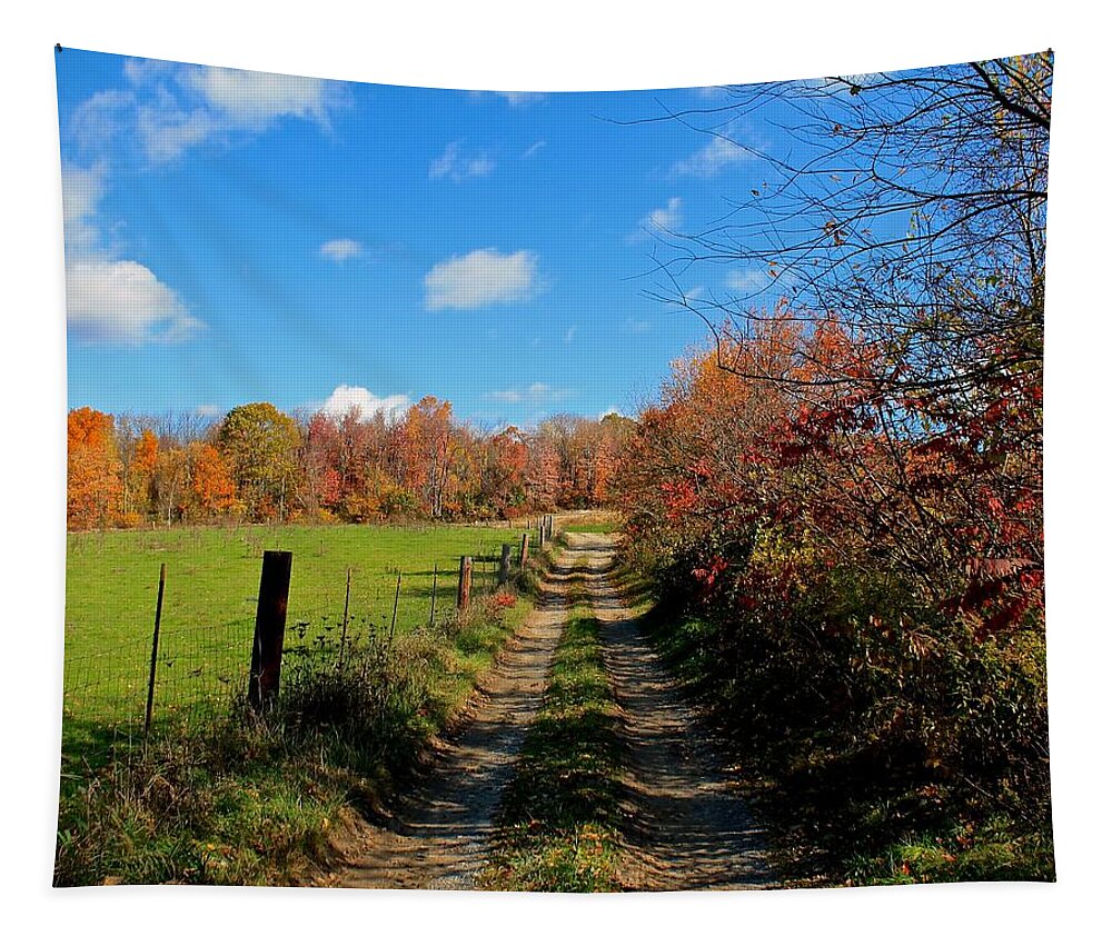 Sterling Tapestry featuring the photograph New England Farm Rota Springs by Michael Saunders