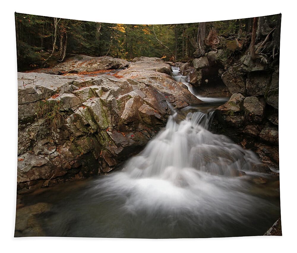 New Hampshire Tapestry featuring the photograph New England Nature by Juergen Roth