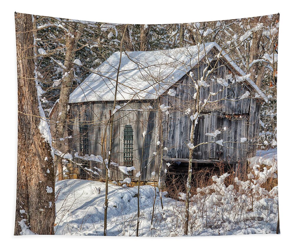 Square Tapestry featuring the photograph New England Winter Woods Square by Bill Wakeley