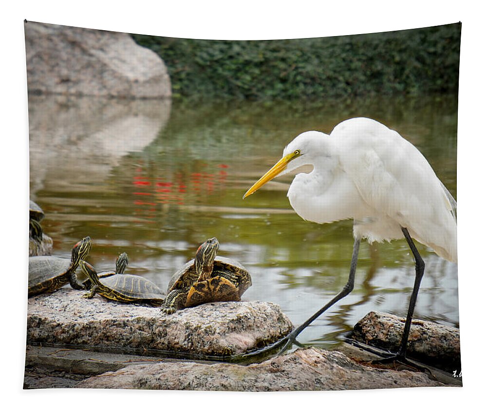 Egret Tapestry featuring the photograph New Found Friends by TK Goforth