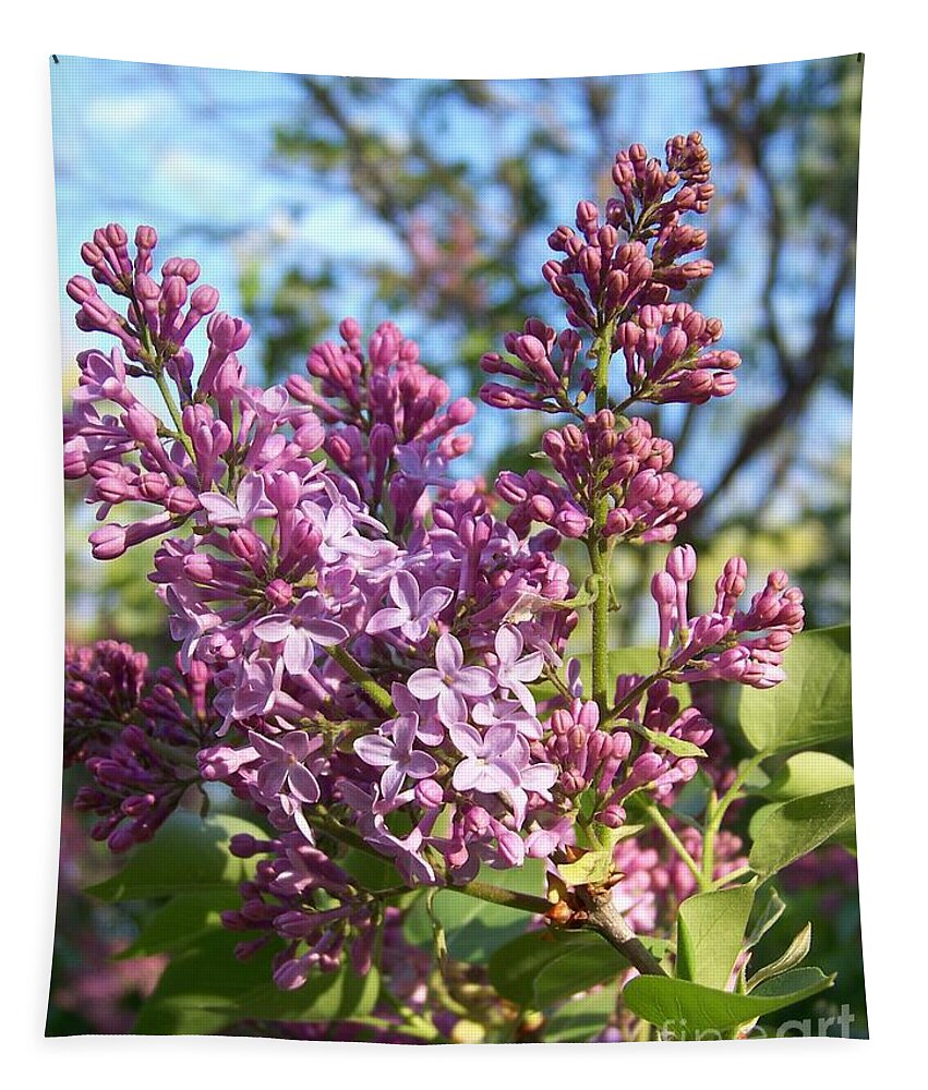 Purple Tapestry featuring the photograph Purple Lilac by Eunice Miller