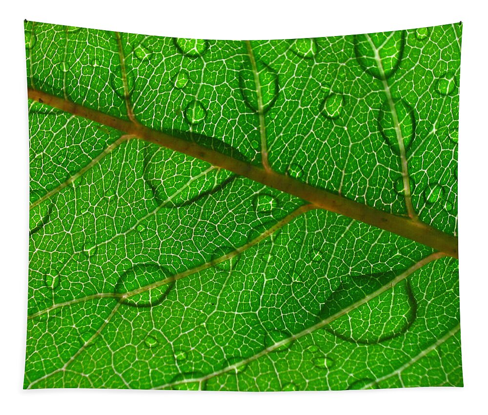 Leaf Tapestry featuring the photograph New Life by Juergen Roth