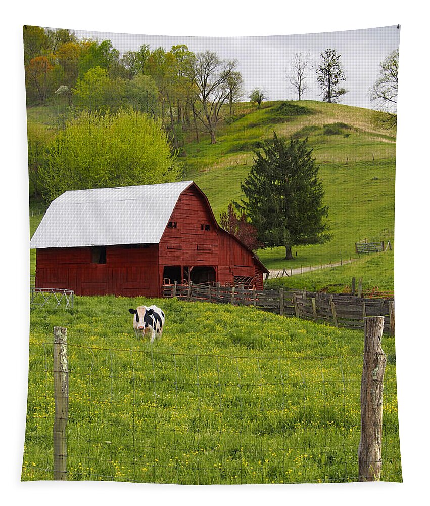 Red Barn Tapestry featuring the photograph New Red Paint by Mike McGlothlen
