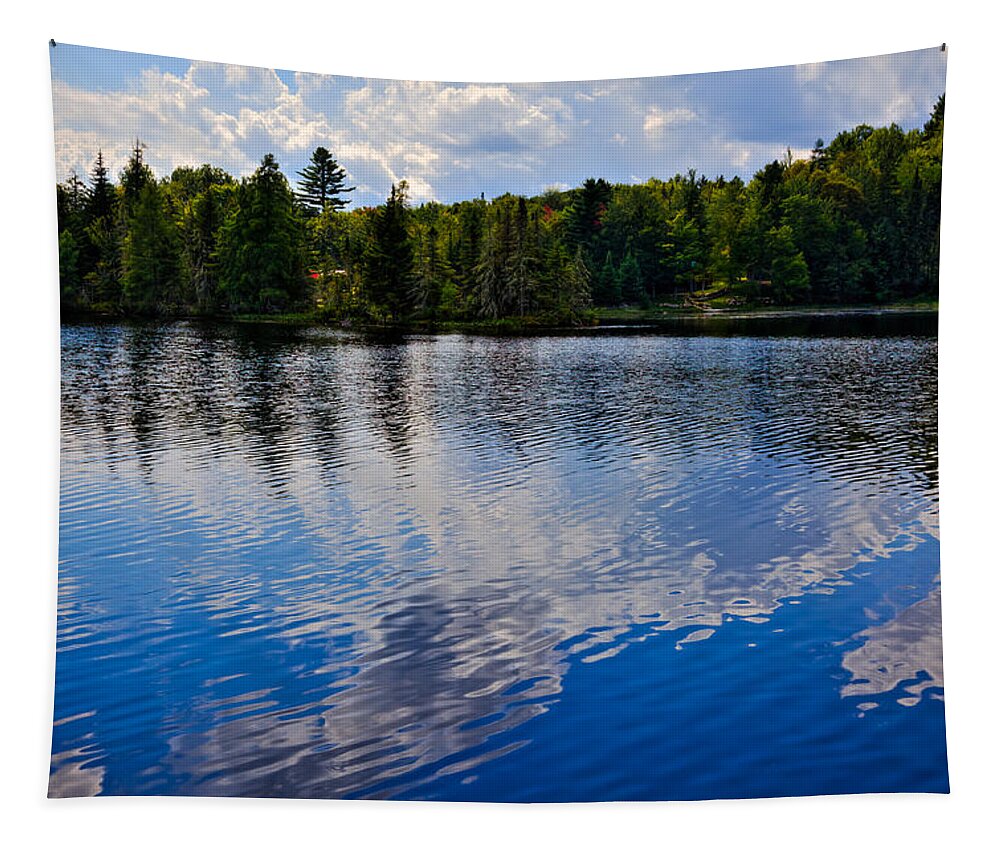 Lake Abanakee Tapestry featuring the photograph New York's Lake Abanakee by David Patterson