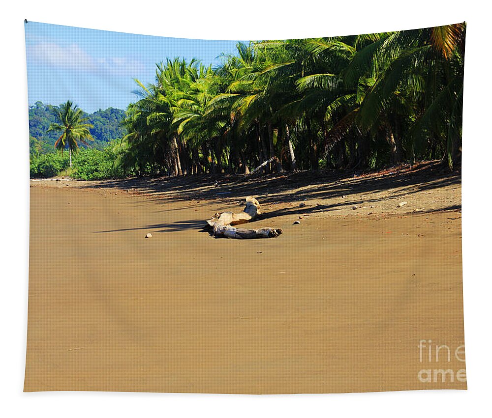 Costa Rica Tapestry featuring the photograph No footprint beach by Bob Hislop