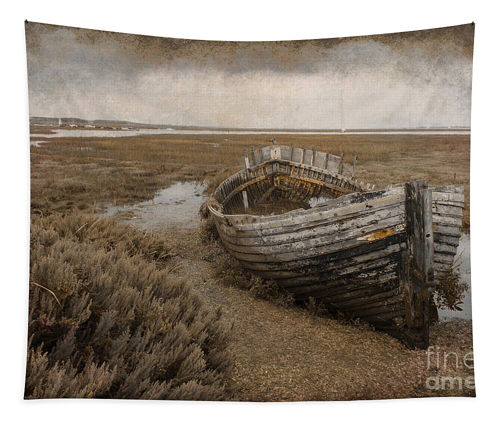 Tint Tapestry featuring the photograph No More Sailing by David Birchall