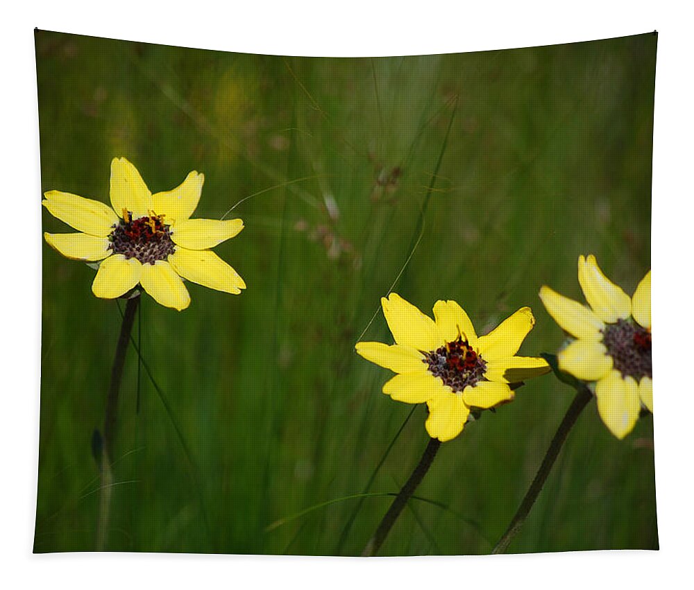 Flower Tapestry featuring the photograph #NoKXL by Becky Furgason
