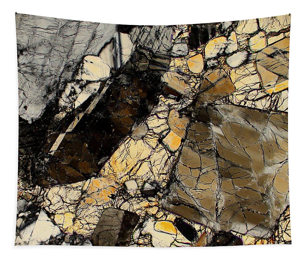 Meteorites Tapestry featuring the photograph North West Africa 5000 by Hodges Jeffery