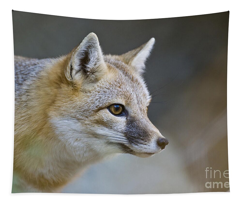 Nature Tapestry featuring the photograph Northern Swift Fox by William H. Mullins