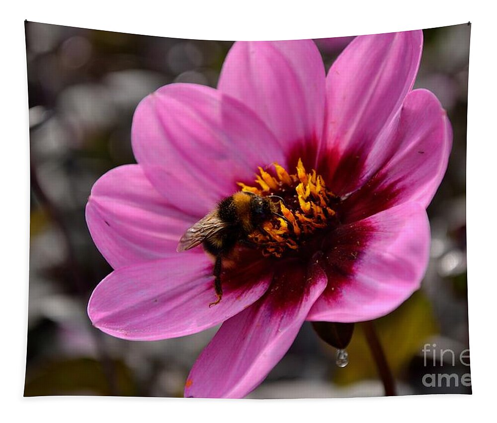 Plant Tapestry featuring the photograph Nosy Bumble Bee by Scott Lyons