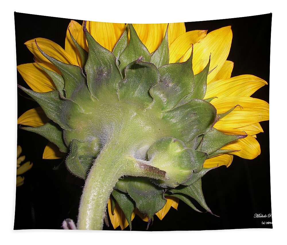 Flower Photograph Tapestry featuring the photograph Purification- Lemongrass by Michele Penn