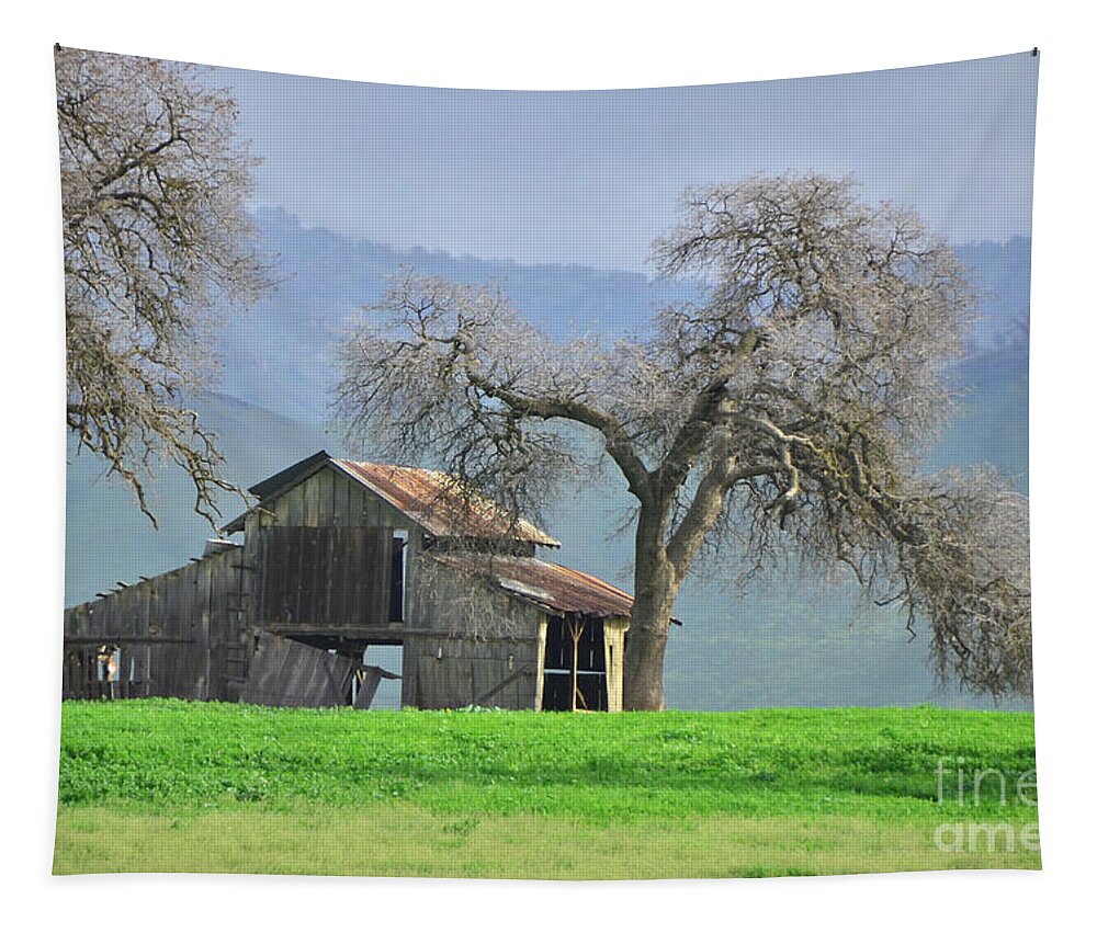 Barn Tapestry featuring the photograph Not Much TIme Left by Debby Pueschel