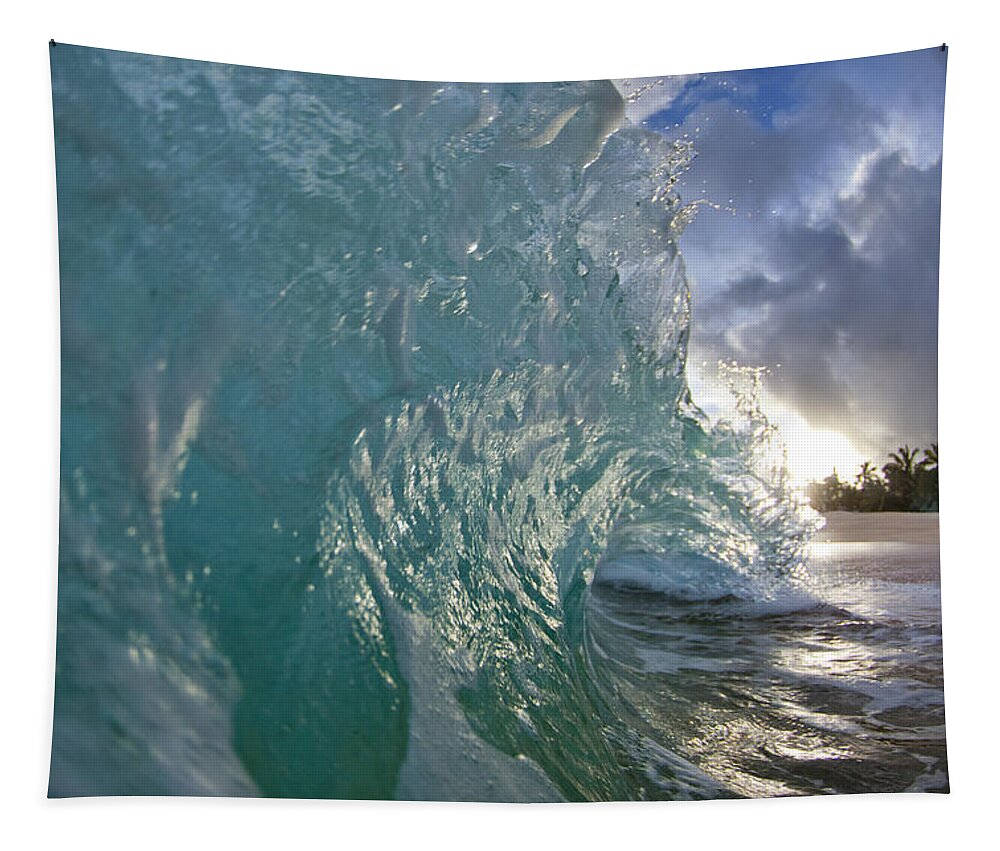 Coconut Curl Tapestry featuring the photograph Coconut Curl by Sean Davey