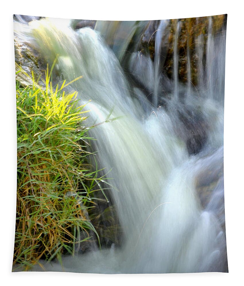 Water Tapestry featuring the photograph Oasis by Deb Halloran