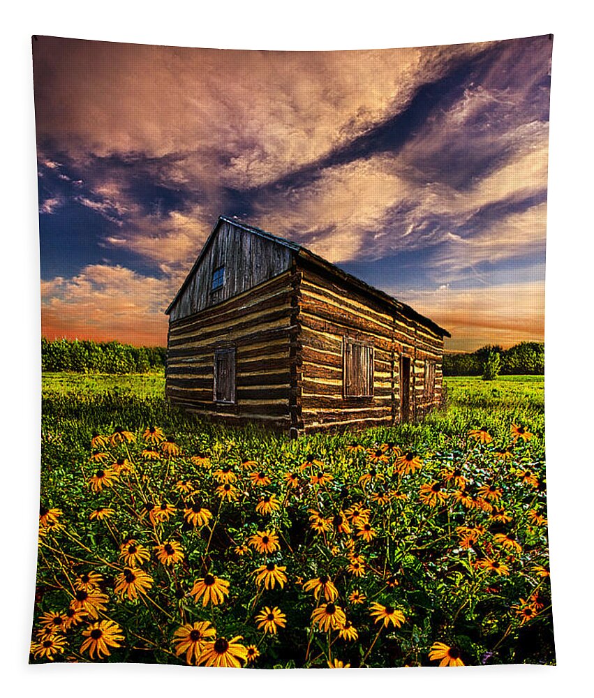 Cabin Tapestry featuring the photograph Off the Grid by Phil Koch