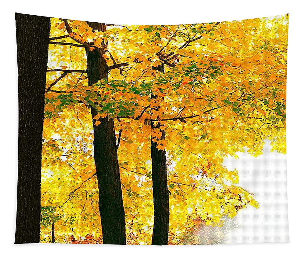 Landscape Tapestry featuring the digital art Ohio Autumn by Tim Richards