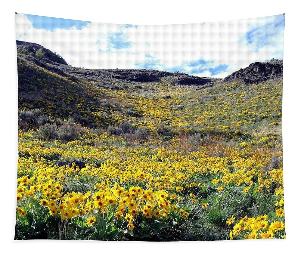 Wild Sunflowers Tapestry featuring the photograph Okanagan Valley Sunflowers 1 by Will Borden