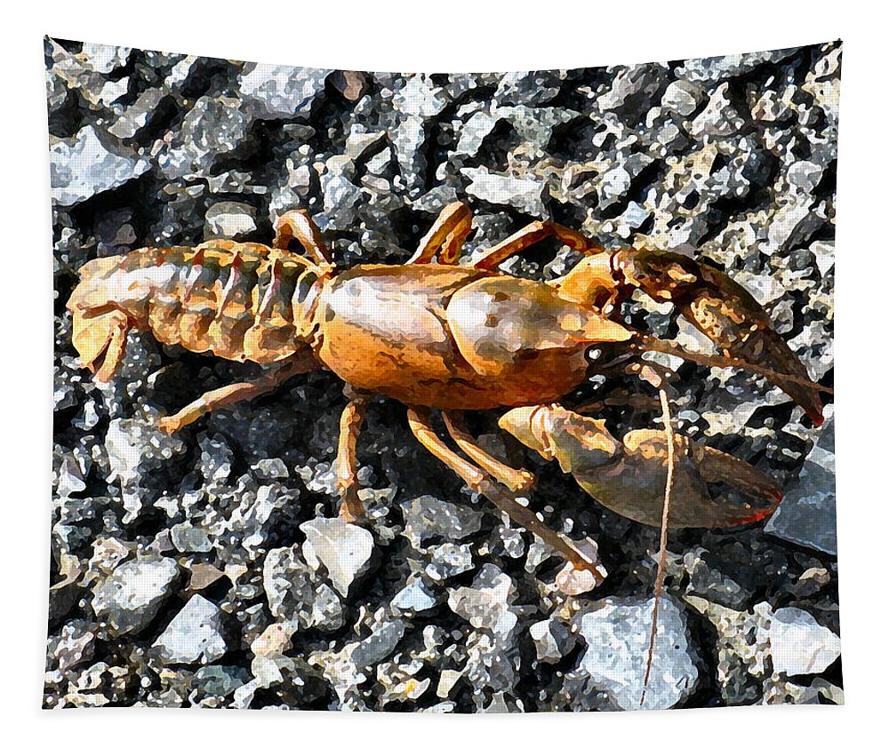Lobster Tapestry featuring the photograph Old Dominion Fresh Main Crick Critter by Lin Grosvenor