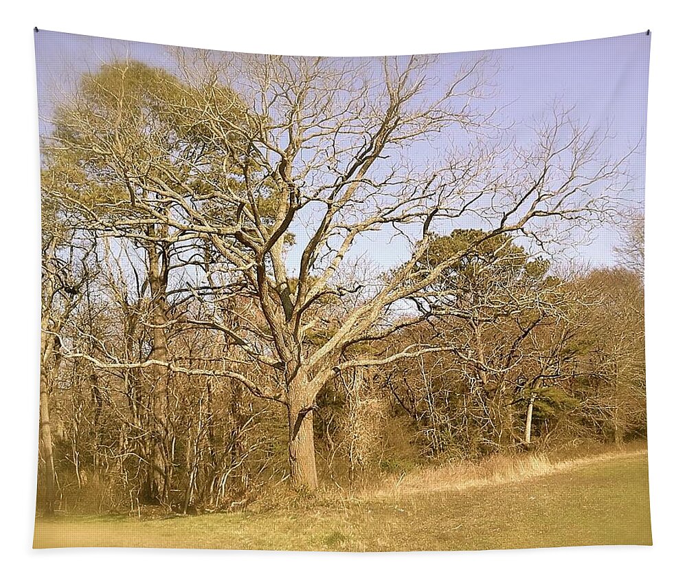 Old Tapestry featuring the photograph Old Haunted Tree by Chris W Photography AKA Christian Wilson
