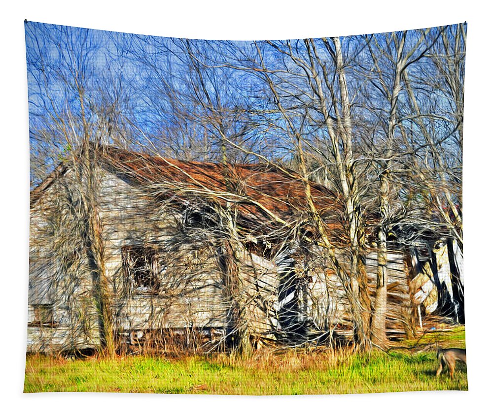 Old Tapestry featuring the photograph Old House by Savannah Gibbs