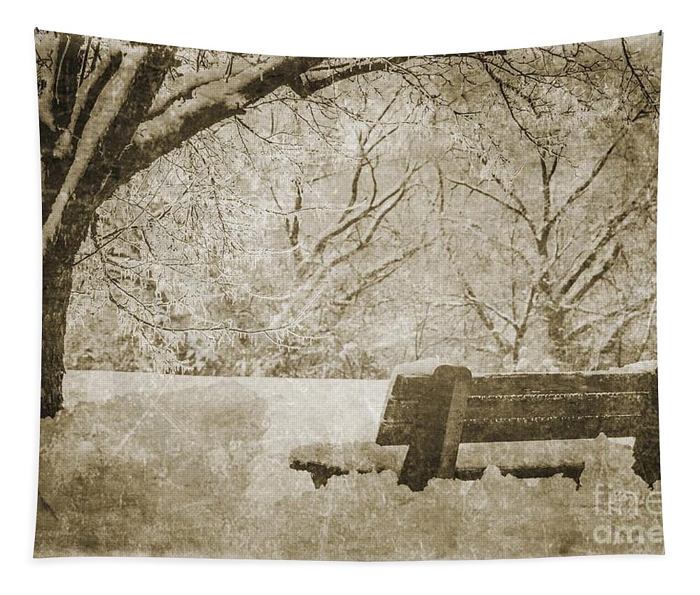 Old Tapestry featuring the photograph Old Time Winter Day by Judy Wolinsky