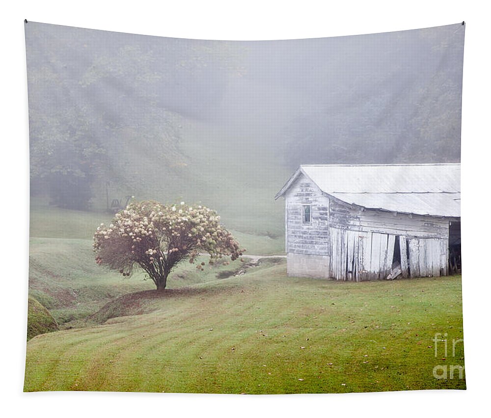 Abandoned Tapestry featuring the photograph Old Weathered Wooden Barn in Morning Mist by Jo Ann Tomaselli