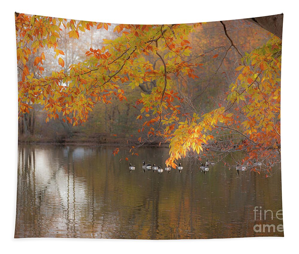 Pond Tapestry featuring the photograph Peavefull Pond Reflections by Dale Powell