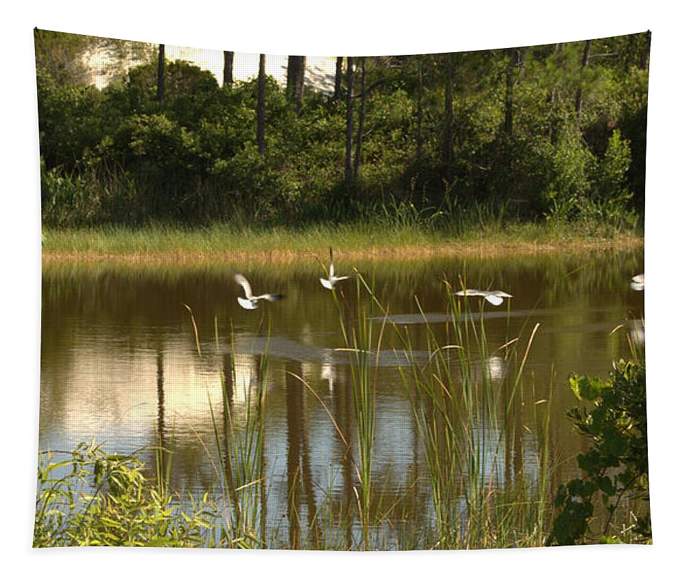 St George Island Tapestry featuring the photograph On Golden Pond by Debra Forand