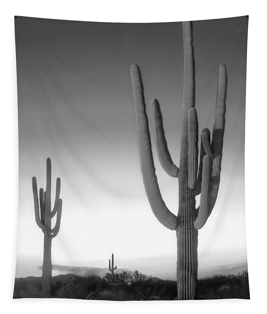 Arizona Landscape Tapestry featuring the photograph On the Border by Mike McGlothlen