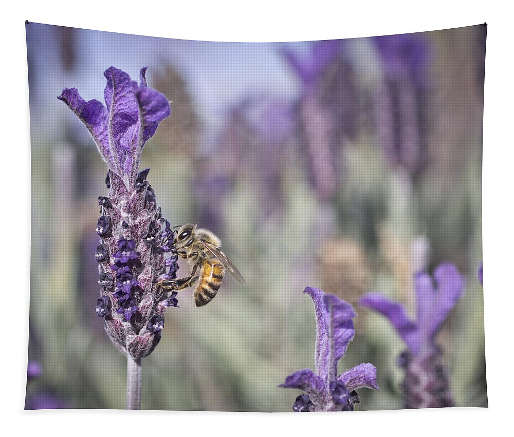 Bee Tapestry featuring the photograph On The Lavender by Priya Ghose