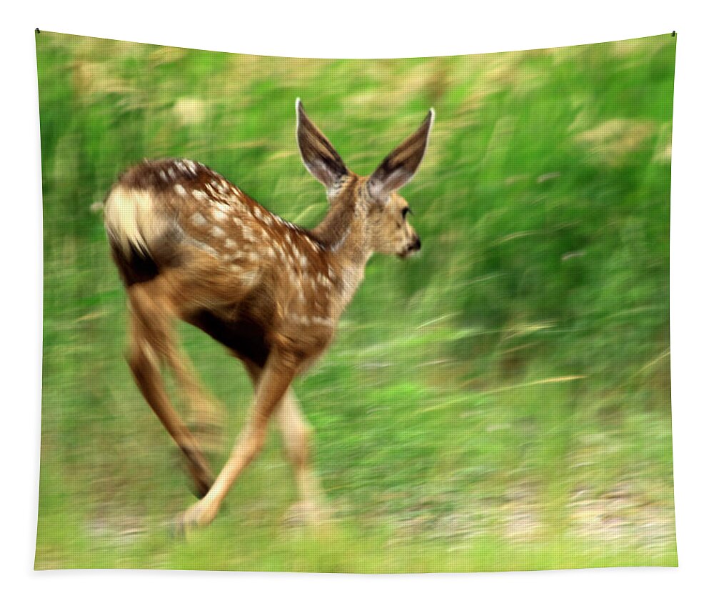 Deer Tapestry featuring the photograph On The Move by Shane Bechler