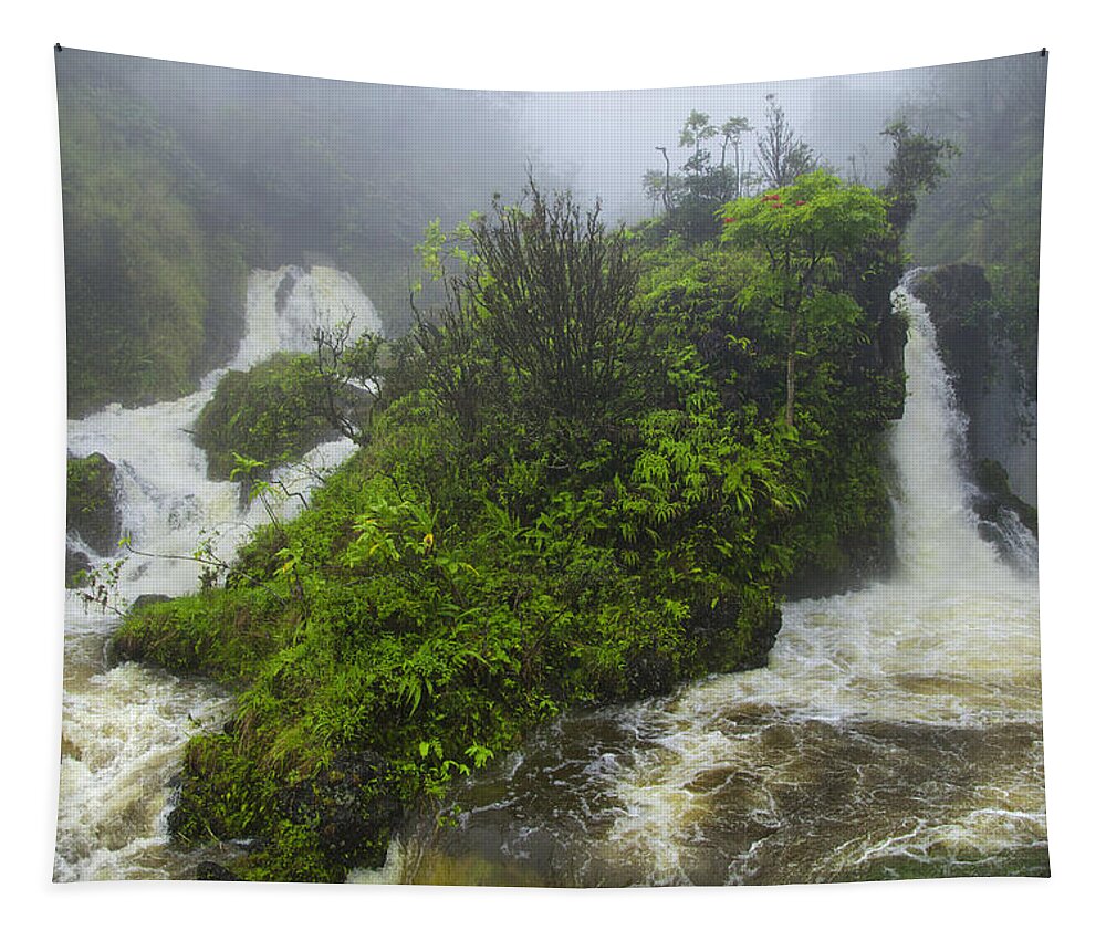 Maui Tapestry featuring the photograph On The Road To Hana by Theresa Tahara