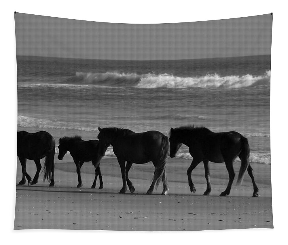 Wild Spanish Mustang Tapestry featuring the photograph One By One by Kim Galluzzo